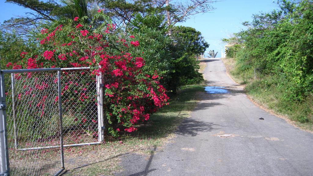 Villa Tranquility By The Sea Vieques Exterior foto