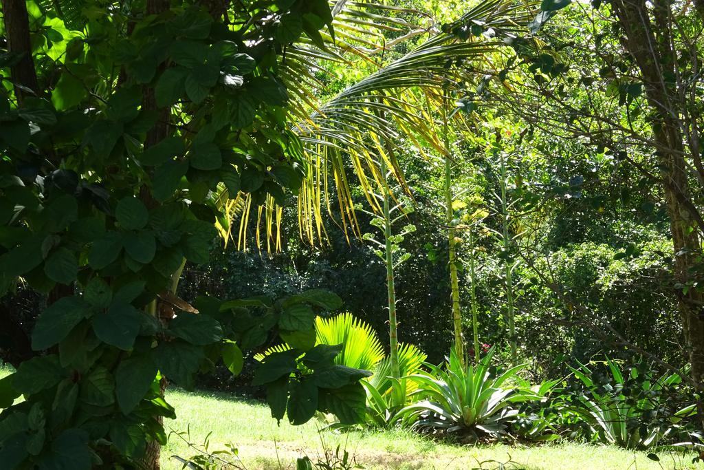 Villa Tranquility By The Sea Vieques Zimmer foto