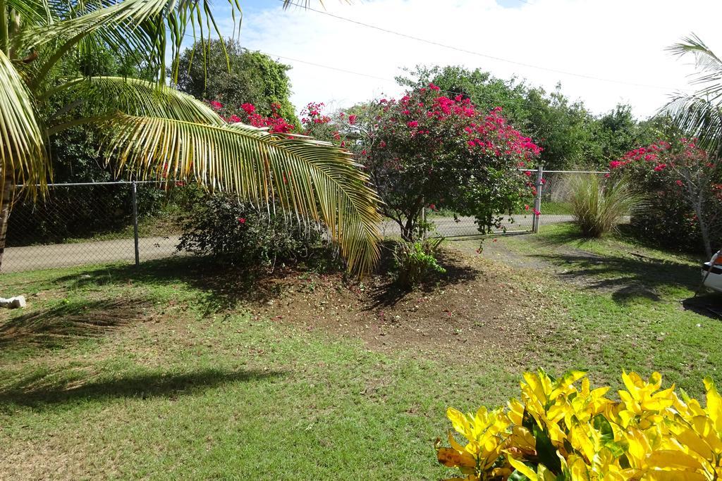 Villa Tranquility By The Sea Vieques Zimmer foto