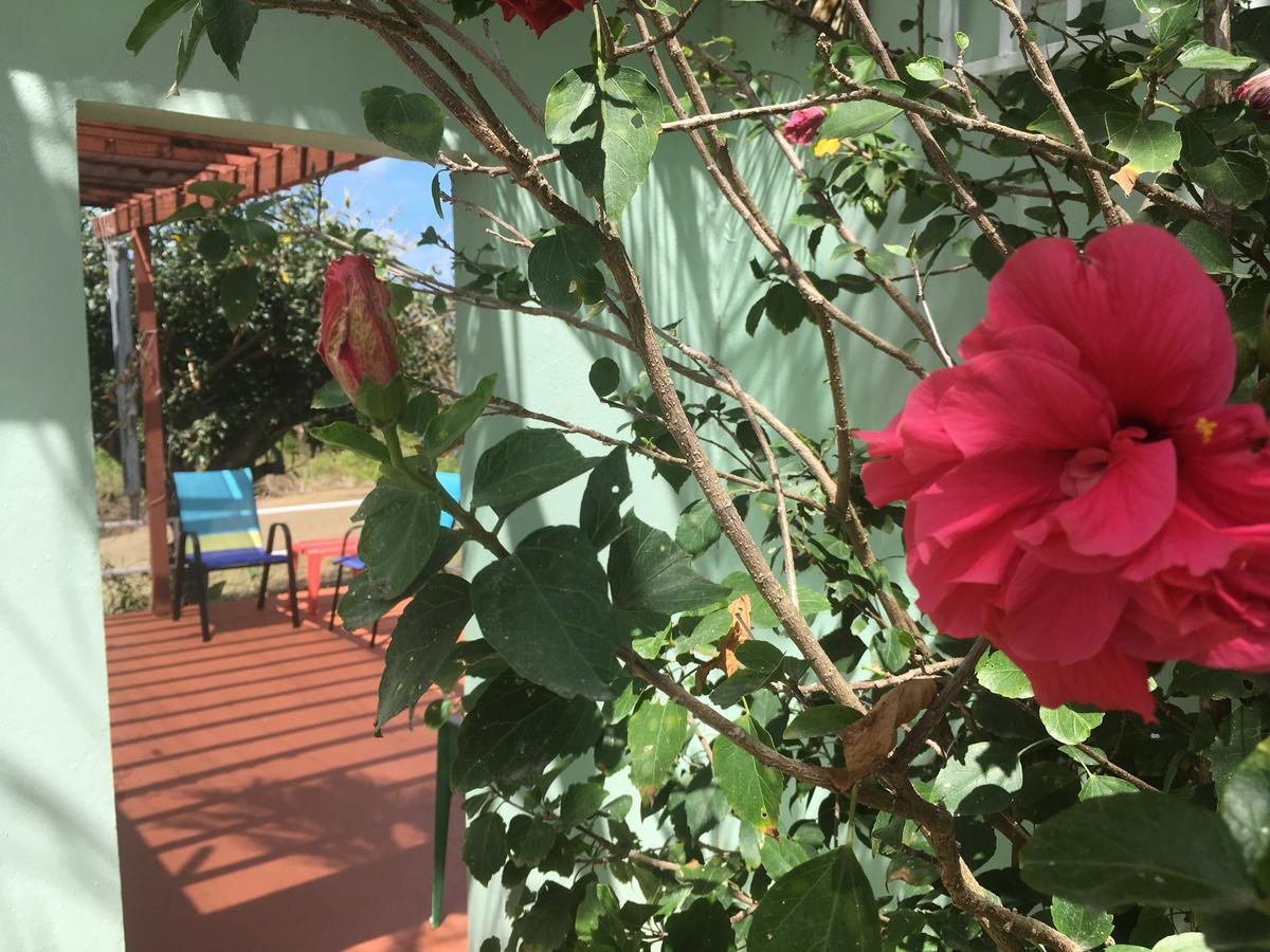 Villa Tranquility By The Sea Vieques Exterior foto