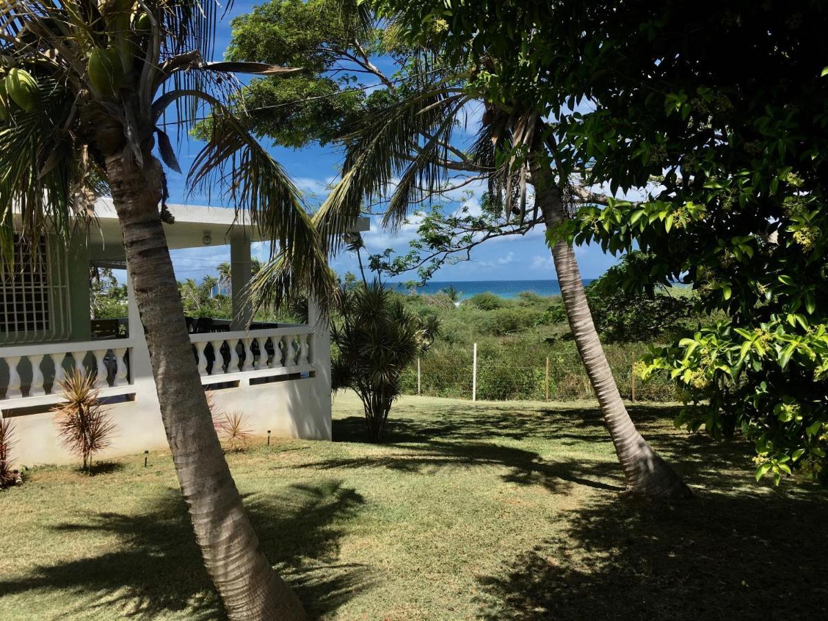 Villa Tranquility By The Sea Vieques Exterior foto
