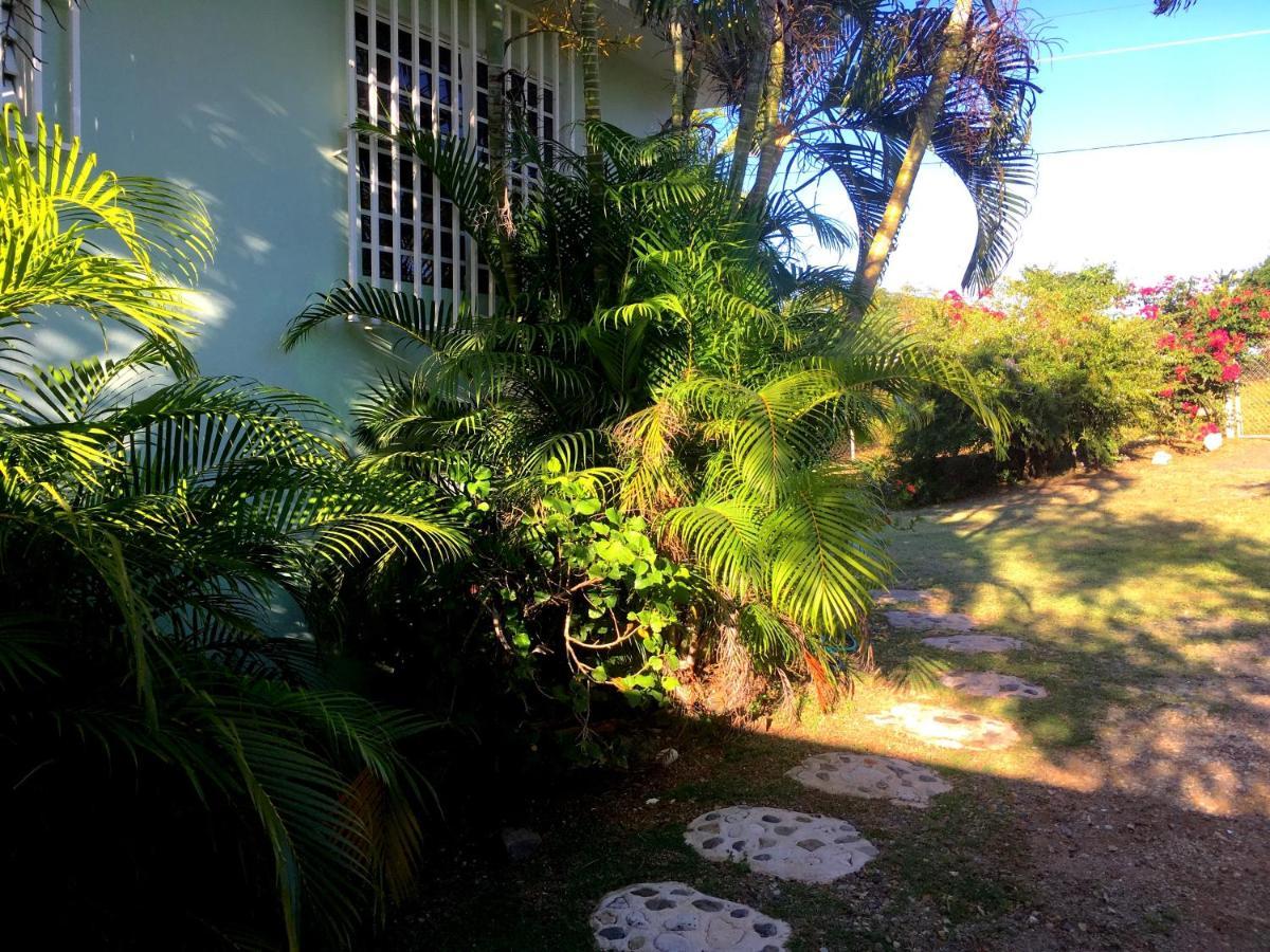 Villa Tranquility By The Sea Vieques Exterior foto
