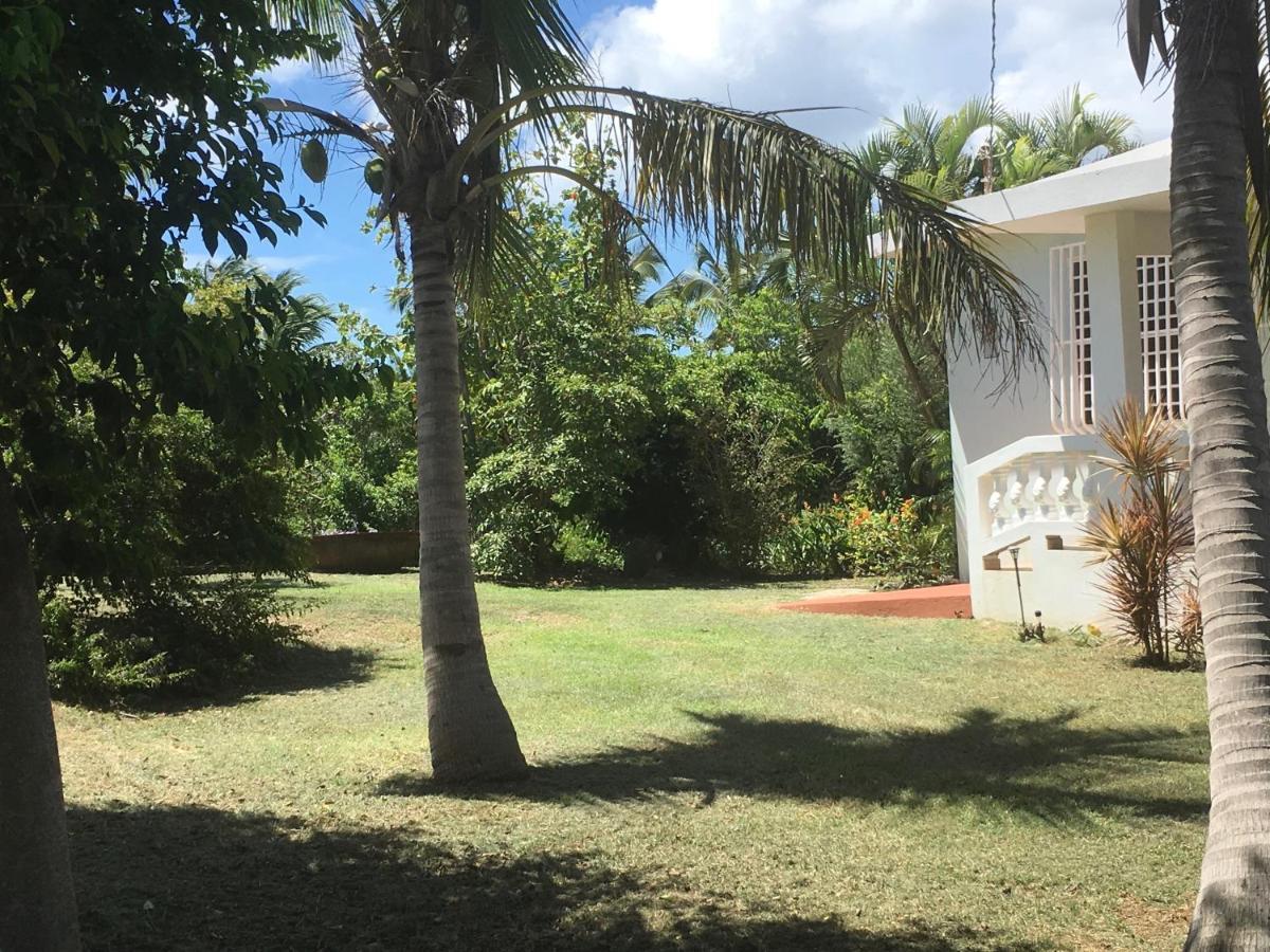 Villa Tranquility By The Sea Vieques Exterior foto